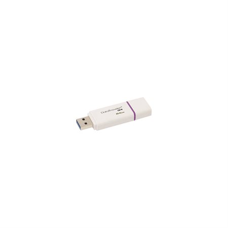 Clé USB DataTraveler G4