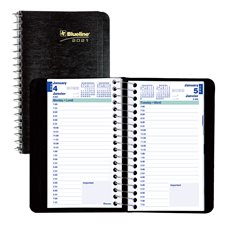 Daily Pocket Diary (2020)