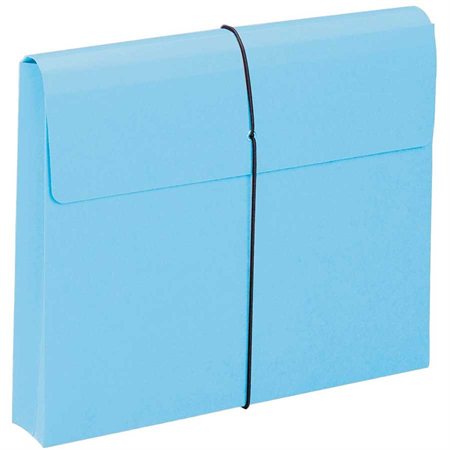 Coloured Expanding Wallet