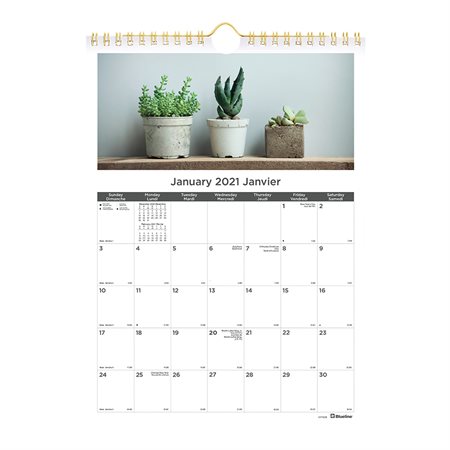 Calendrier mural Plantes succulentes (2021)