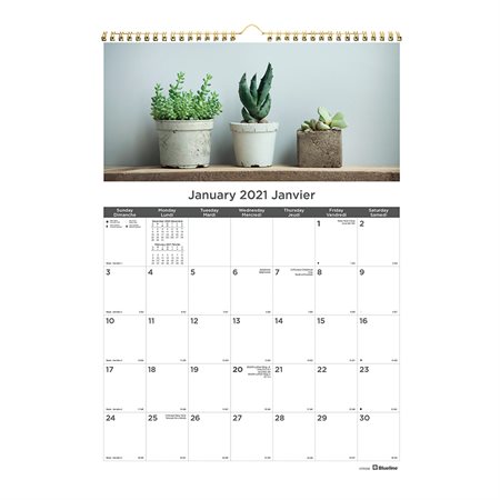 Calendrier mural Plantes succulentes (2021)