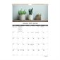 Succulent Plants Wall Calendar (2021)