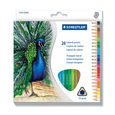Triangular Wooden Coloured Pencils