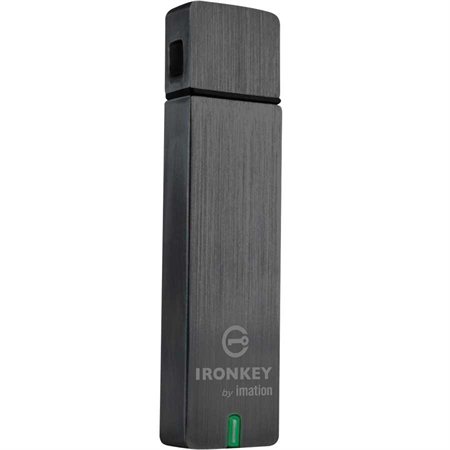 Clé USB à mémoire flash "IronKey Basic D250"