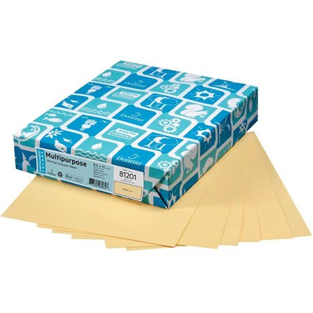 Papier de couleur à usages multiples EarthChoice®