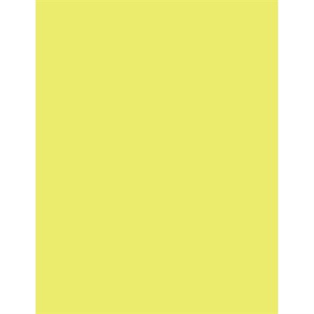 Papier couverture EarthChoice® Hots®