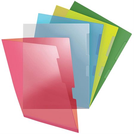 Heavy-Duty Transparent Folder