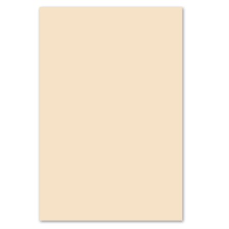 Papier couverture à usage multiples EarthChoice® Bristol