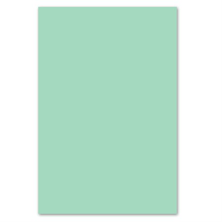 Papier couverture à usage multiples EarthChoice® Bristol