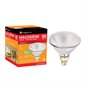 PAR38 Halogen Bulb