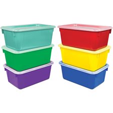 Small Cubby Bin