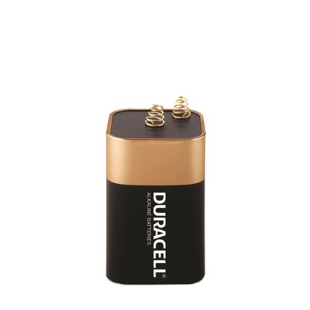 Pile alkaline Duracell® Coppertop®