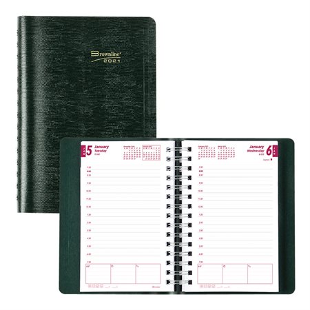 Daily Diary (2020)