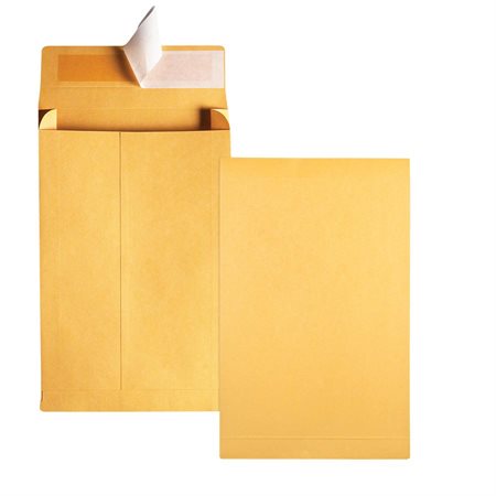 Enveloppe Kraft expansible Redi-Strip™