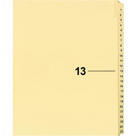 Offix® Individual Numerical Litigation Index Dividers
