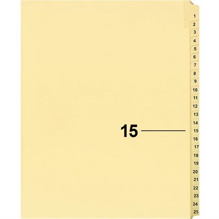 Offix® Individual Numerical Litigation Index Dividers