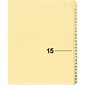 Index juridique individuel numérique Offix®