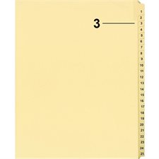 Index juridique individuel numérique Offix®
