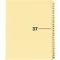 Index juridique individuel numérique Offix®
