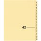 Index juridique individuel numérique Offix®