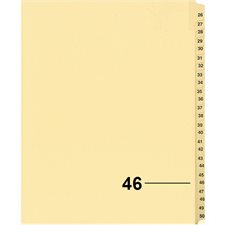 Index juridique individuel numérique Offix®