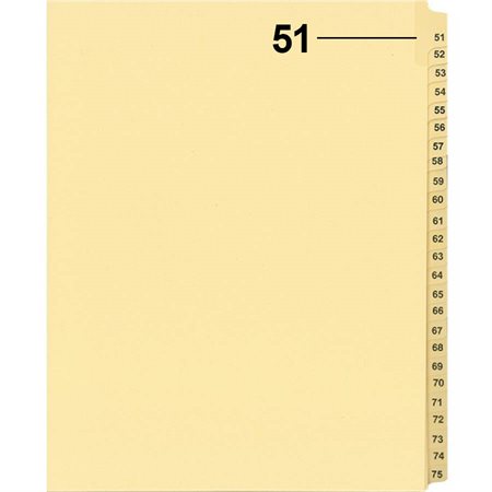 Offix® Individual Numerical Litigation Index Dividers