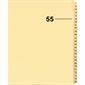 Index juridique individuel numérique Offix®