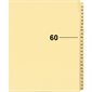 Index juridique individuel numérique Offix®