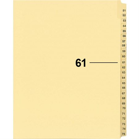 Offix® Individual Numerical Litigation Index Dividers