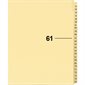 Offix® Individual Numerical Litigation Index Dividers
