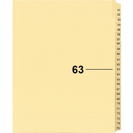 Offix® Individual Numerical Litigation Index Dividers