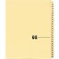 Index juridique individuel numérique Offix®