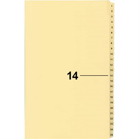 Offix® Numerical Litigation Index Dividers