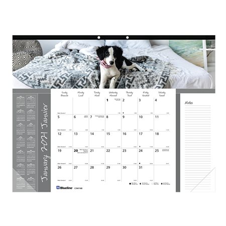 Calendrier sous-main mensuel (2020)