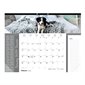 Calendrier sous-main mensuel (2020)
