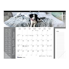 Calendrier sous-main mensuel (2020)