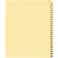 Offix® Sequential Numerical Litigation Index Dividers