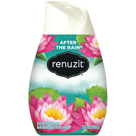 Renuzit Gel Air Freshener