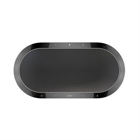 Haut-parleur Speak 810 MS