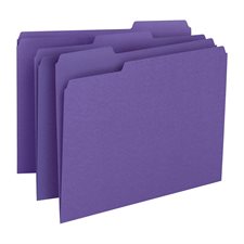Coloured File Folders