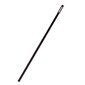 Recorder cleaning rod