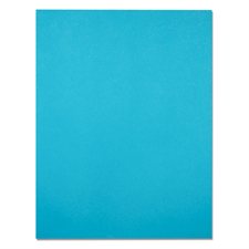 Papier de couleur EarthChoice® Hots®