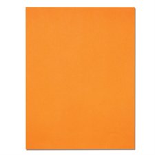 Papier de couleur EarthChoice® Hots®