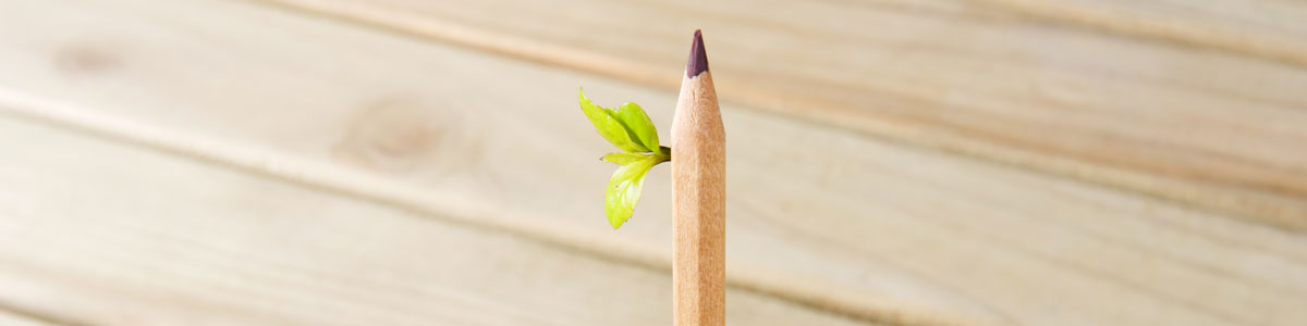 service-sustainability service-sustainability