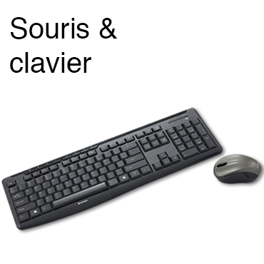 Verbatim_Mice_FR